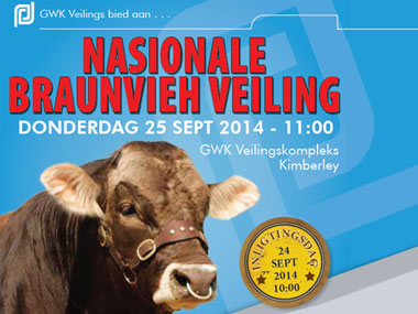 National Braunvieh SA Auction 2014