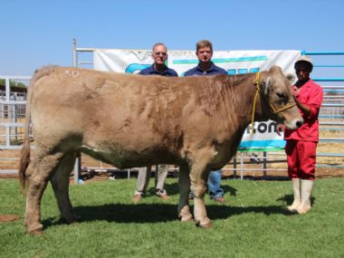  - From left to right Mr SP Els (Seller) and Christopher Havenga (buyer) and Dirkie Louw (handler)