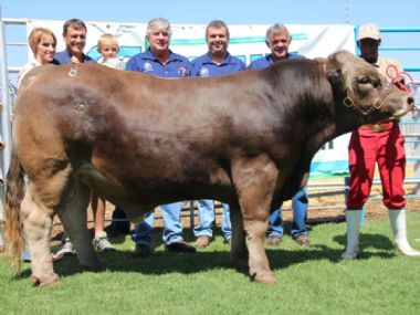  - From left to right Lizell Strauss, Leon Strauss, Joshua Strauss (buyers) Gawie en Willem Naudé (Sellers) Deon Klopper (GWK auctioneer), Thulang Letsika (handler) 