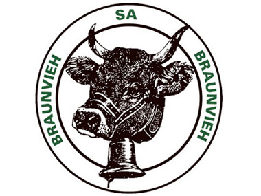 Braunvieh Commercial Heifers for Sale - 15 heifers. Age: twelve months. Weight: ± 280 - 300kg

