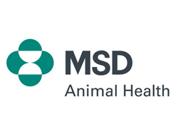 Thank you to our sponsor MSD<br>MSD is a global healthcare leader working to address unmet health needs. 