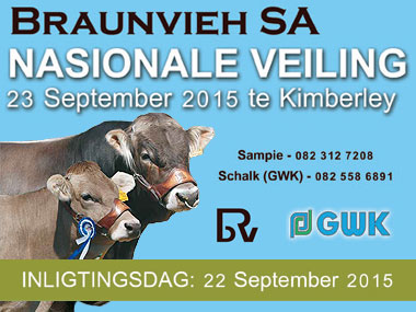 National Braunvieh SA Auction 2015